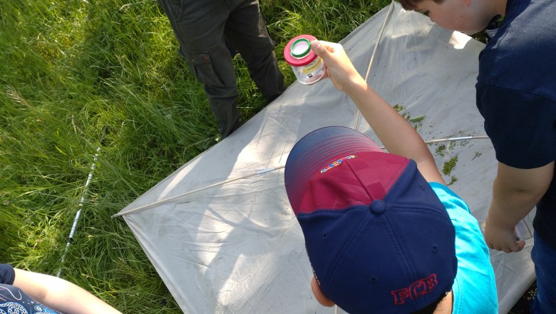 Forschen auf der Obstwiese, © Naturpark Mannersdorf