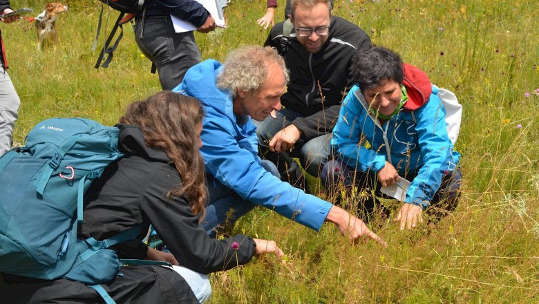 Die Bewohner der Perchtoldsdorfer Heide entdecken, © F. Litzelmann