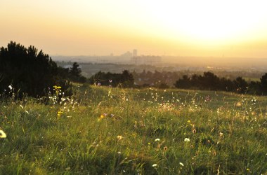 Föhrenberge Nature Park, © Naturparke Niederösterreich/POV