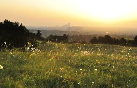 Föhrenberge Nature Park, © Naturparke Niederösterreich/POV