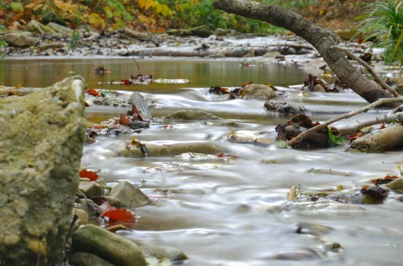 Weidlingbach Naturpark Eichenhain, © Naturparke Niederösterreich/Sabine Mayer