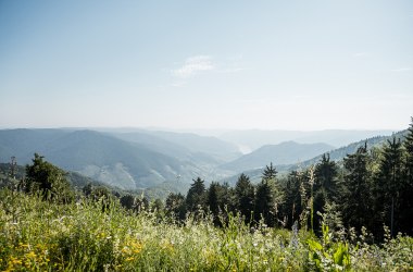 Weitblick im Naturpark Jauerling-Wachau, © Martina Siebenhandl