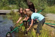 Junge Wasserforscher*innen im UnterWasserReich, © Hochmoor Schrems/W. Dolak