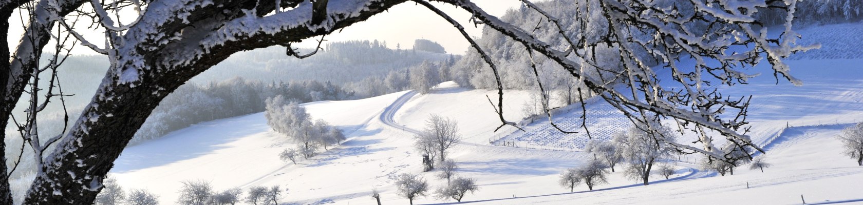 Jauerling im Winter, © Naturparke Niederösterreich/POV