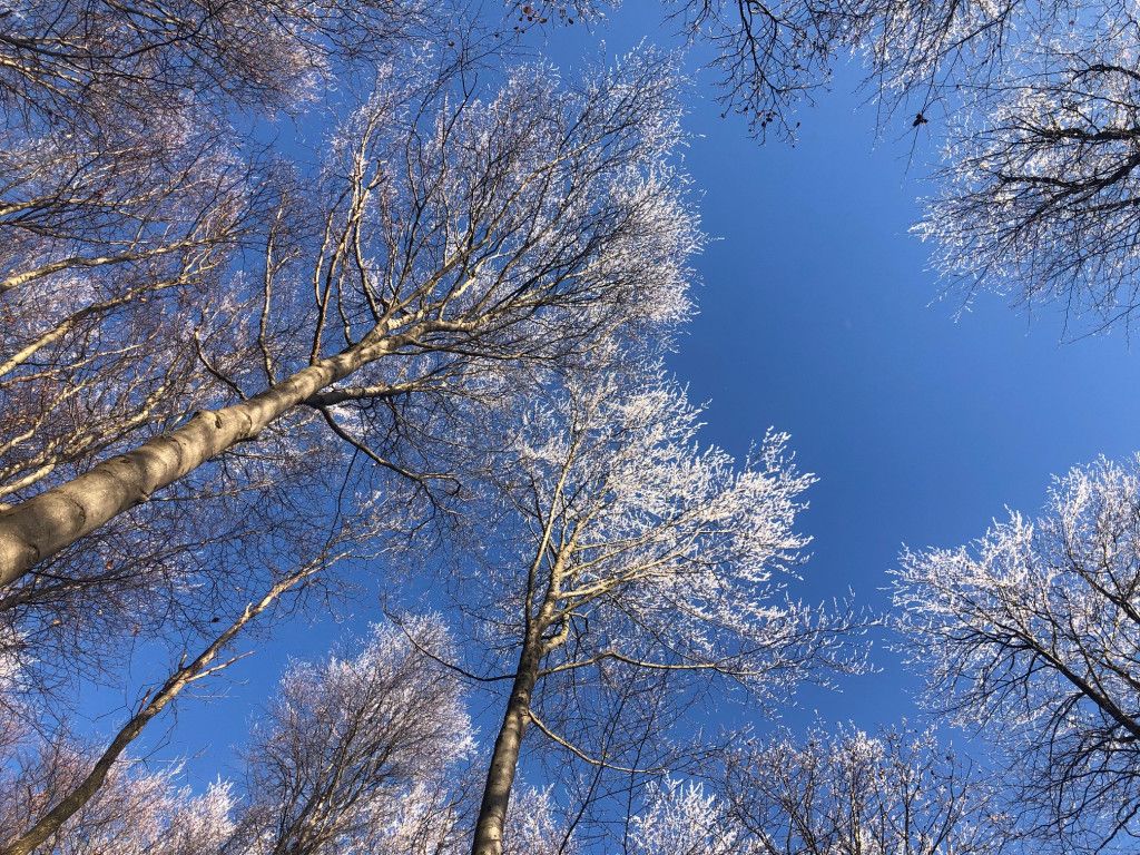 Winter im Naturpark