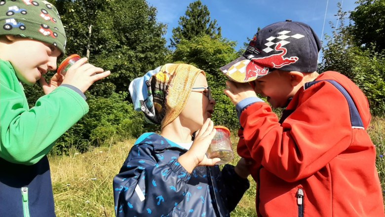 Beobachten und Lernen im Naturpark, © Birringer-Zauner