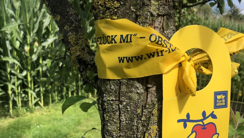 Das gelbe Band - Obst ernten für alle, © Wir für Bienen