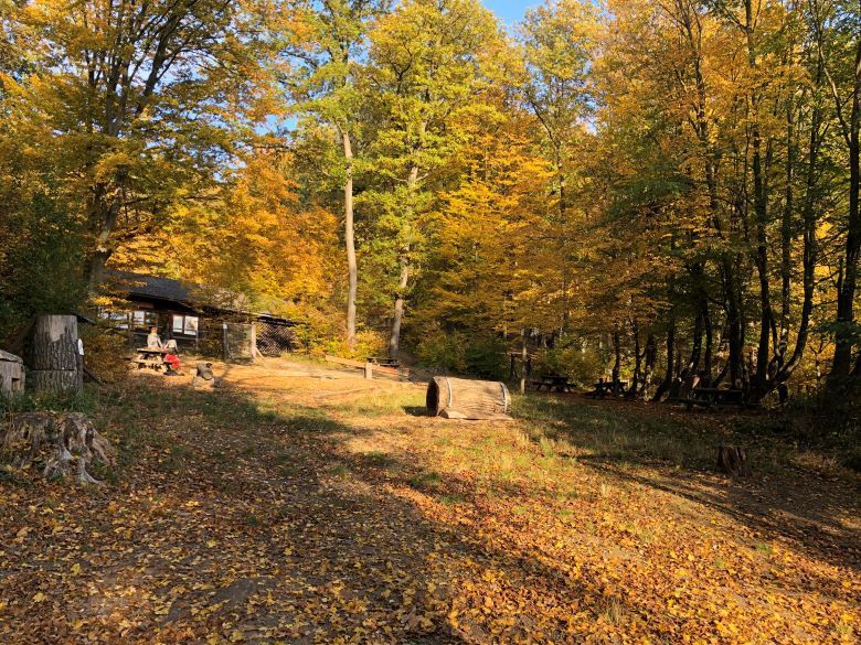 Naturpark im Herbst