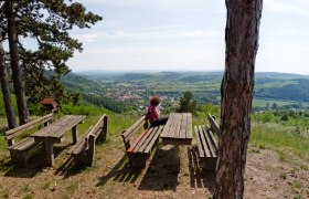 Waldentdeckungspfad, © Gemeinde Schönberg am Kamp 