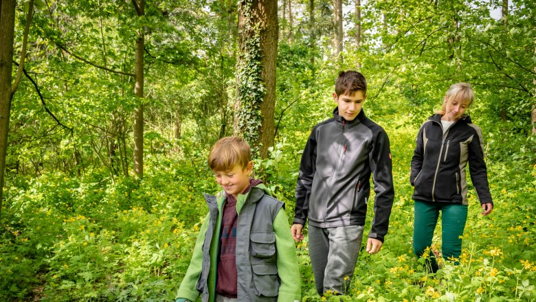 Family trip in the nature park, © Naturpark Dobersberg/M.Ledwinka