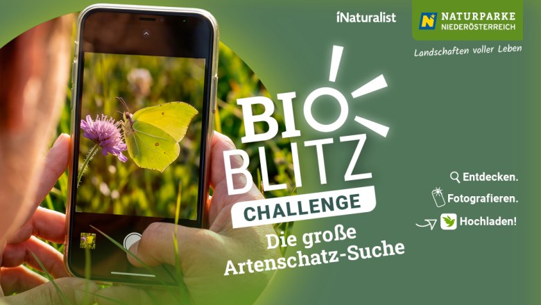 Bioblitz in den Naturparken , &copy; message