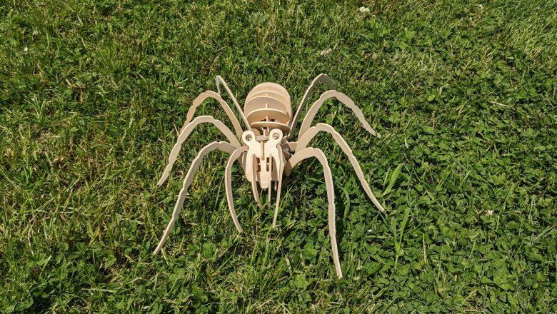 Neue Spinnenart im Naturpark aufgetaucht!, © Naturpark Heidenreichsteiner Moor