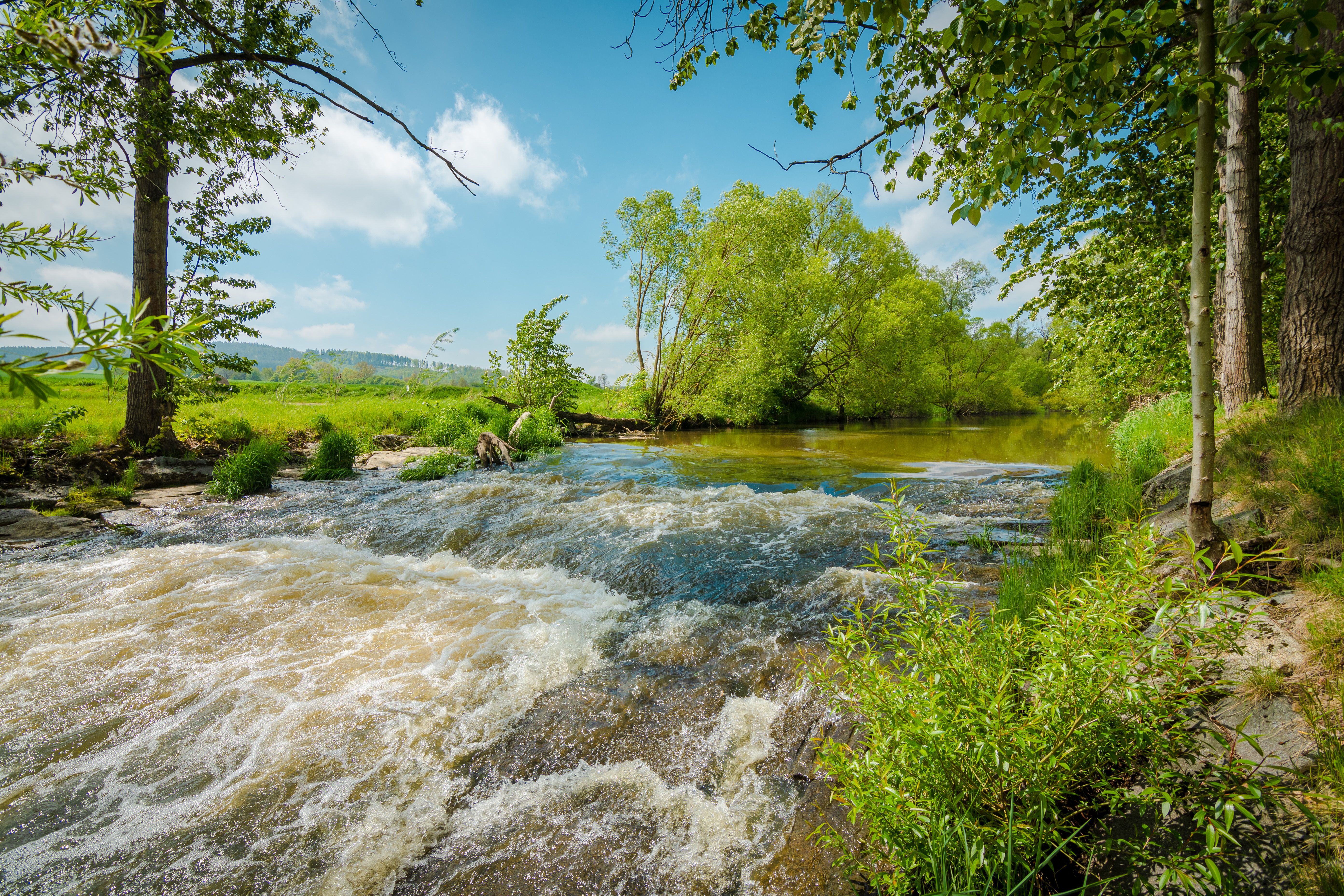 Sommerliche Ansicht des Flusses Thaya