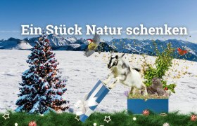 Ein Stück Natur schenken, © Verband der Naturparke Österreichs