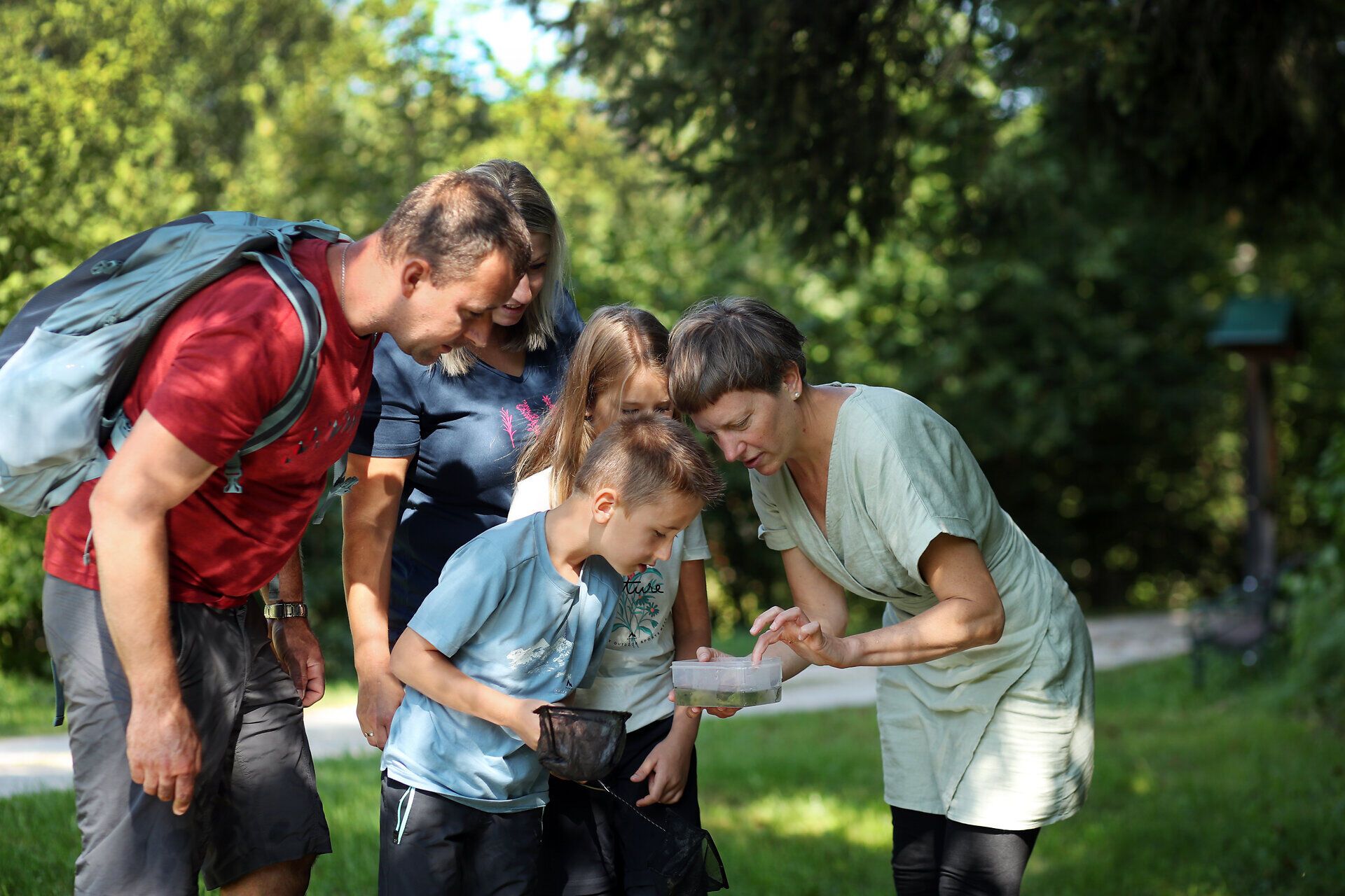 Eine Mitarbeiterin des Naturpark Falkenstein zeigt einer Familie kleine Wasserlebewesen. 