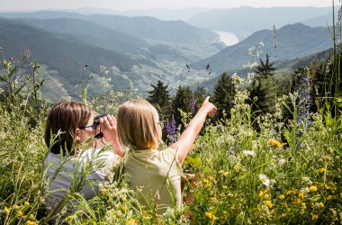 Ausblick genießen im Naturpark Jauerling-Wachau, © Martina Siebenhandel 