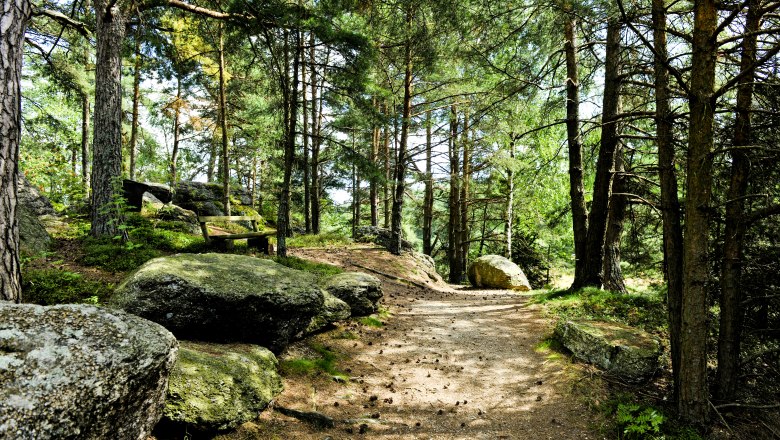 Nordwald - Waldweg, © Naturparke Niederösterreich/POV