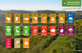 Unsere gemeinsame Marke, © Naturparke Niederösterreich/message