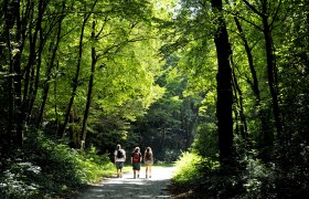 Wandern in der Wüste, © Naturparke Niederösterreich/POV