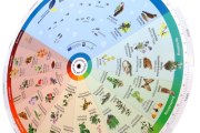Die Phänomenale Drehscheibe gibt es in 5 Ausführungen!, © Naturparke Niederösterreich