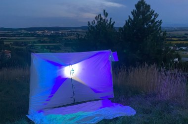 Insekten mit der Lichtfalle beobachten, © Kristina Lexova