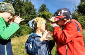 Beobachten und Lernen im Naturpark, © Birringer-Zauner