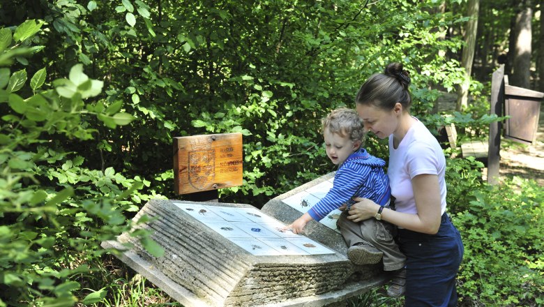 Purkersdorf Nature Park, © Naturparke Niederösterreich/POV