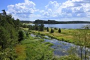 Moorlandschaft Naturpark Heidenreichstein, © POV