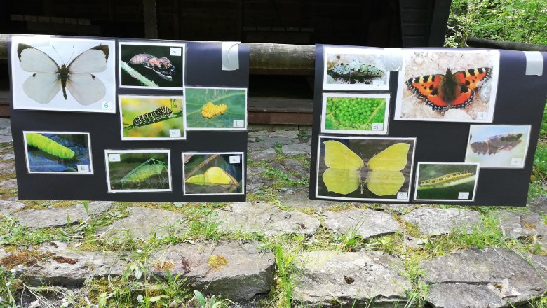 Informationen über die Superhelden, © Naturpark Falkenstein