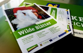 Spannendes in den Wilden Bl&auml;ttern, &copy; NLK Filzwieser