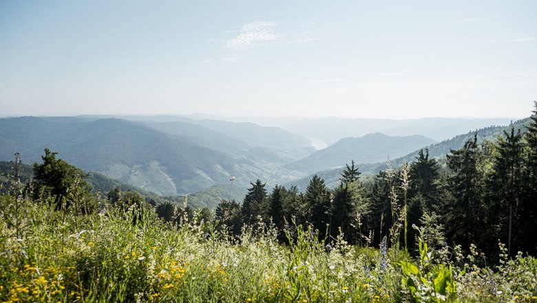 Outlook at Jauerling-Wachau Nature Park, © Martina Siebenhandl