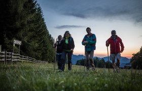 Abendwanderung im Naturpark Ötscher-Tormäuer, © Fred Lindmoser