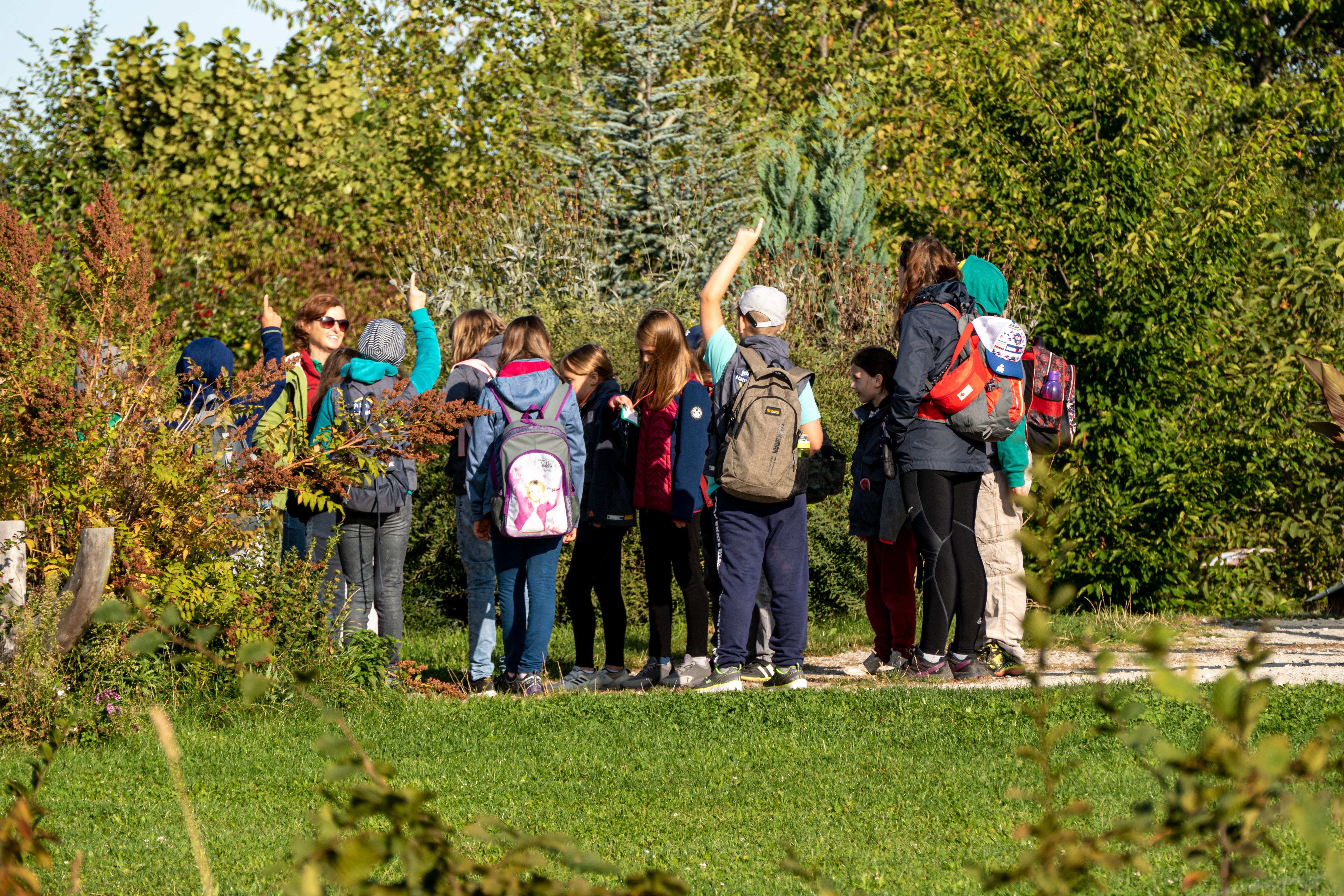 Eine Gruppe Schüler steht in der Natur, einige Kinder zeigen auf.