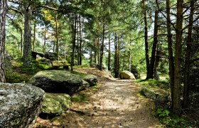 Naturpark Nordwald, © Naturparke Niederösterreich/POV