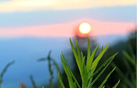 Sonnenuntergang im Naturpark NÖ Eisenwurzen, © Sophie Ehgartner