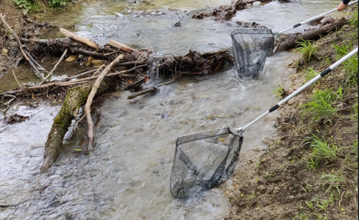 Keschern im Sparbach, © Naturpark Sparbach