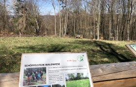 Purkersdorf - Schöffelsteinwiese, © Naturpark Purkersdorf Purkersdorf - Schöffelsteinwiese, © Naturpark Purkersdorf