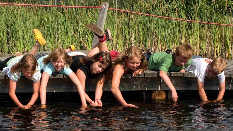 Über und Unter(m)WasserReich, © W. Dolak