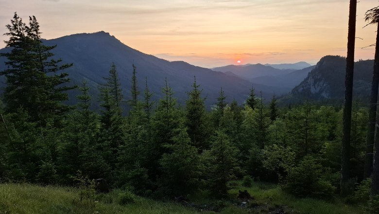 Abenddämmerung über dem Naturpark Falkenstein, © Bettina Schruf