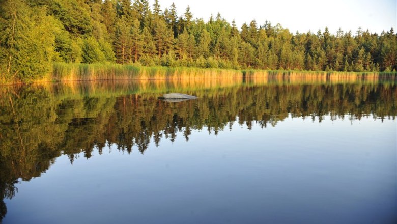 Das Moor bietet Ruhe, schärft die Sinne und entschleunigt, © POV