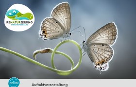 Renaturierung - Auftakt, © Wolfgang Suske