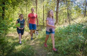 Am Waldlehrpfad im Naturpark Dobersberg, © Matthias Ledwinka