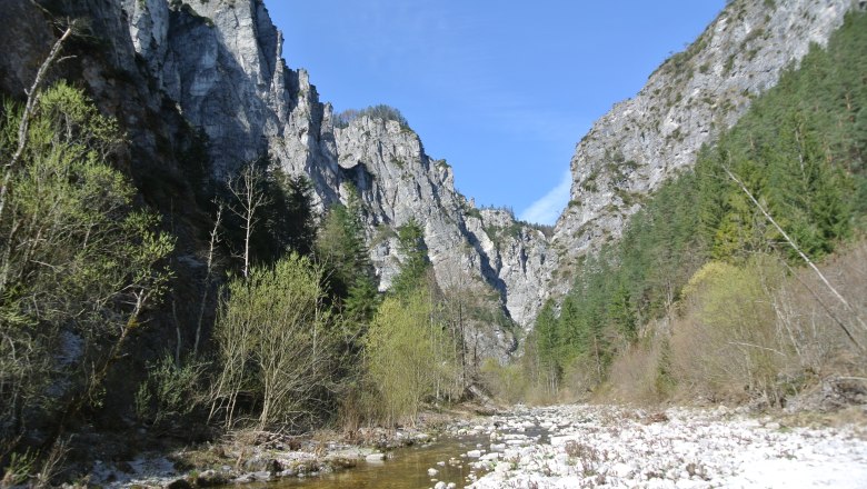 Streambed in the Ötscher-Tormäuer Nature Park, © Naturpark Ötscher-Tormäuer