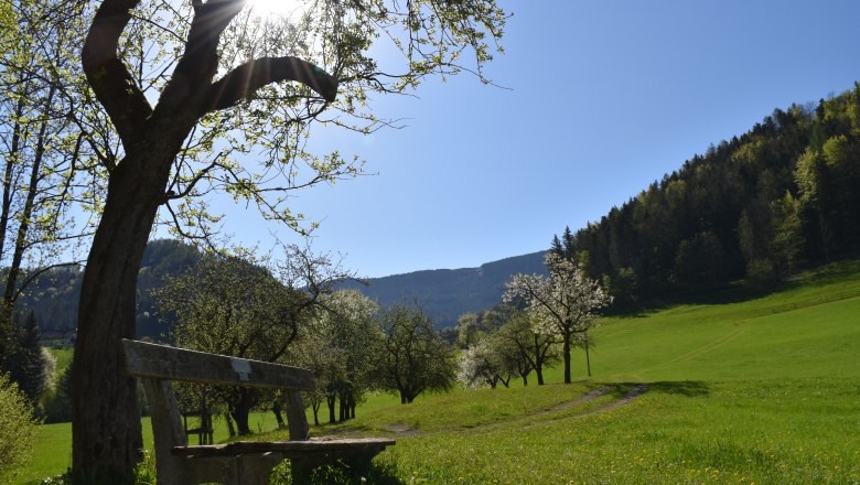 Salcher Unterkirchen, © Christine Baron