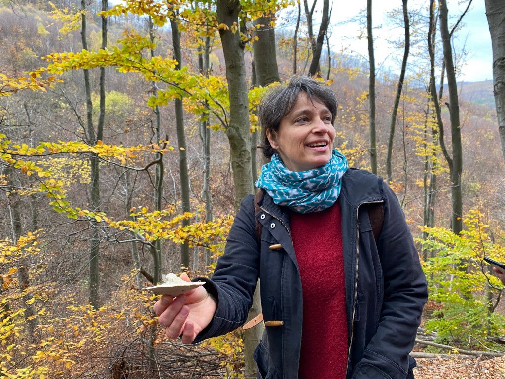 Heilpilze mit Gerit Fischer