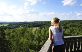 Der Naturpark Blockheide von oben, © Naturparke Niederösterreich/POV