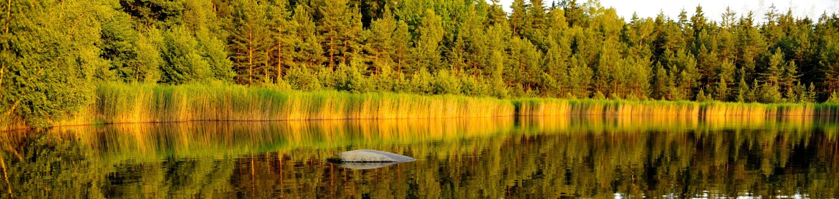 Summer at Heidenreichstein, © Naturparke Niederösterreich/POV