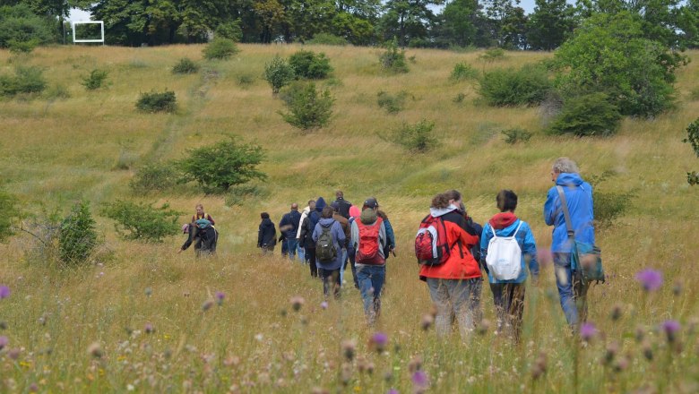 Exkursion durch die Heide, © F. Litzelmann