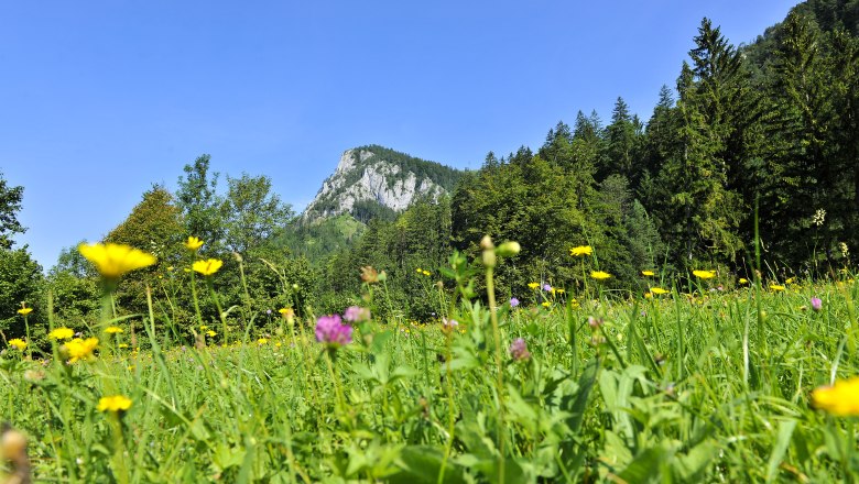 Falkenstein, © Naturparke Niederösterreich/POV