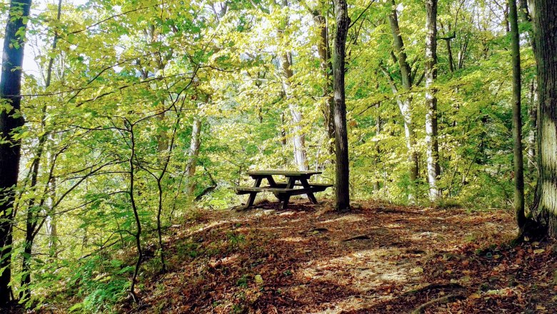 Geras - schattiger Rastplatz, © Naturpark Geras